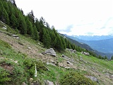 Arriviamo all'Alpe Ciampalbino (mt.1920).......